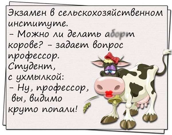 Анекдот про корову