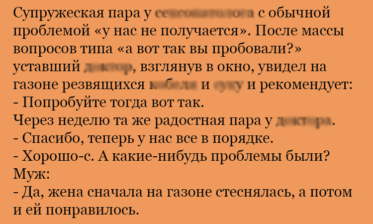 Анекдот про радостную пару