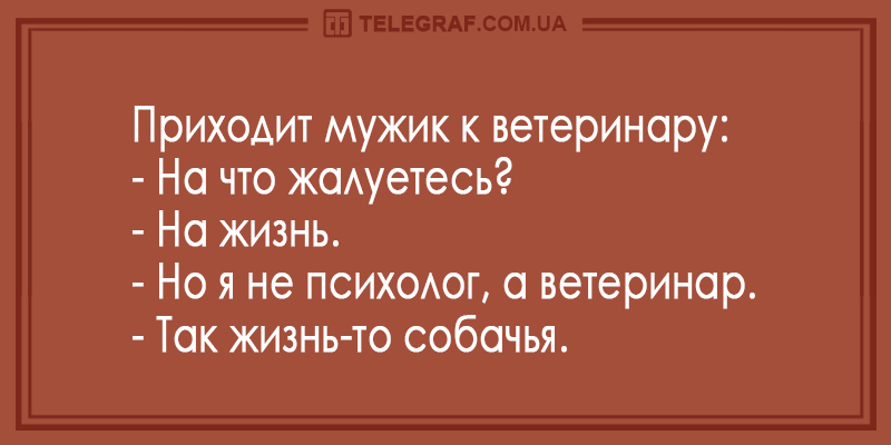 Анекдот про телевизор