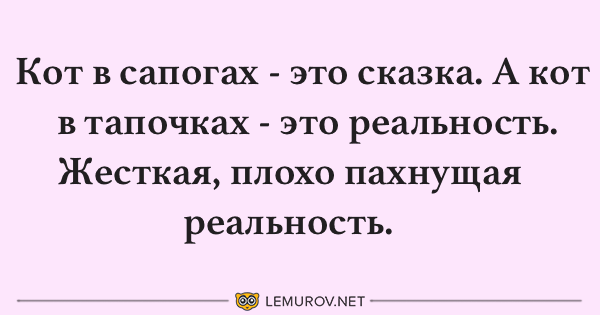 Анекдот про Т9