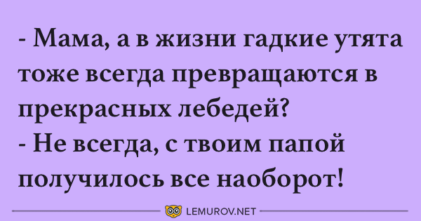 Анекдот про громкого медведя