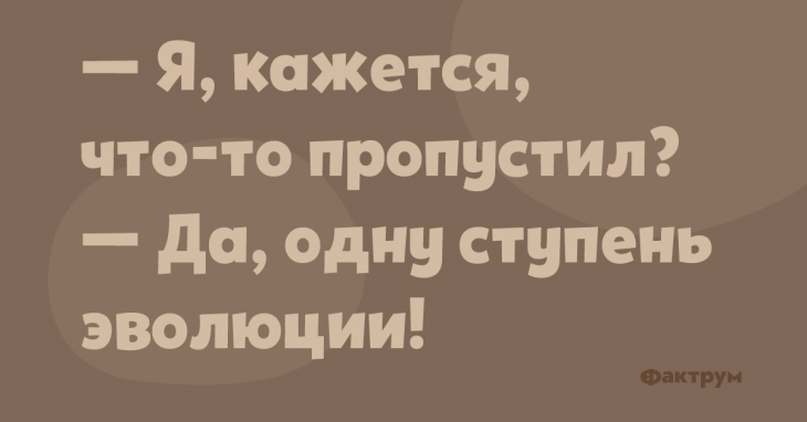 Анекдот про легкое недопонимание